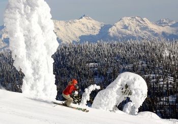 Information about the ski resort Whitefish Mountain Resort