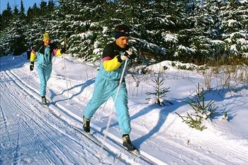 Auch Langläufer kommen in und um Altenfeld auf ihre Kosten