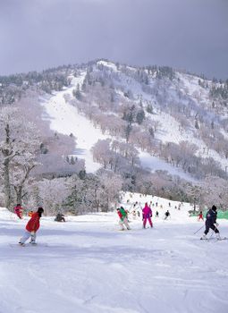 Im Skigebiet Appi Kogen fühlen sich Skifahrer und Snowboardfahrer gleichermaßen wohl.