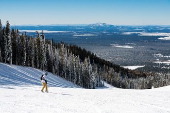 Die Arizona Snowbowl erstreckt sich auf bis zu 3.505 Meter Höhe. Panoramablick ist garantiert.