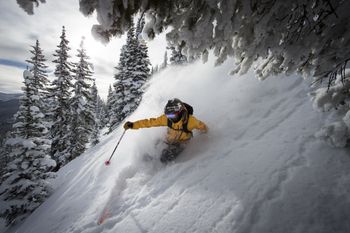 Aspen Mountain - ein Must-Do für Könner