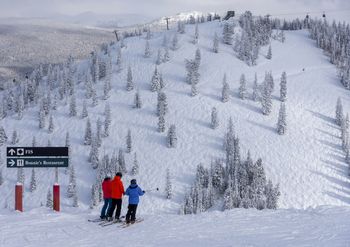 Bonnie's Restaurant - immer eine gute Wahl