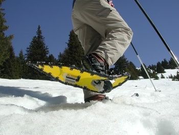 Schneeschuhwandern in Bergün Filisur