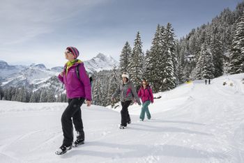 Detaillierte Infos zum Skiurlaub im Skigebiet Braunwald
