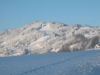 Der Glasenberg liegt in der Nähe von Steyr.