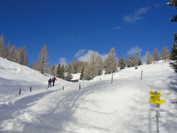Alternative zum Skifahren: Schneeschuhwandern auf der Emberger Alm