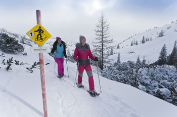 Detaillierte Infos zum Skiurlaub im Skigebiet Feuerkogel - Ebensee