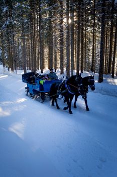 Mit der Kutsche geht es durch das winterliche Filzmoos