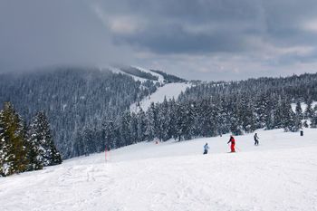 Das Skigebiet Kope befindet sich unweit der österreichischen Grenze im Pohorje-Gebirge.