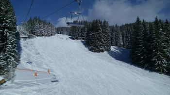 Detaillierte Infos zum Skiurlaub im Skigebiet Ski-Waldheimat Hauereck - St. Kathrein am Hauenstein