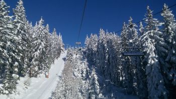 Detaillierte Infos zum Skiurlaub im Skigebiet Ski-Waldheimat Hauereck - St. Kathrein am Hauenstein