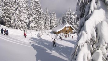 Detaillierte Infos zum Skiurlaub im Skigebiet Ski-Waldheimat Hauereck - St. Kathrein am Hauenstein