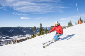 Die Olympiaabfahrt ist mit 2 km Länge und 600 Metern Höhenunterschied die anspruchsvollste Piste.