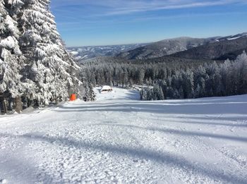 Pistenspaß am Haldenköpfle