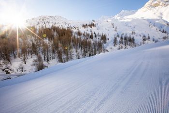 Top präparierte Pisten erwarten dich am Hintertuxer.