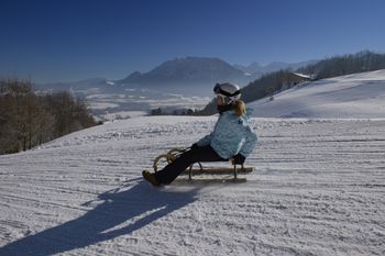 Rodelspaß am Hocheck