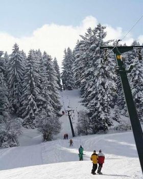 © www.ellegglift.de