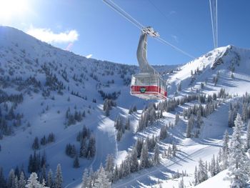 © Snowbird Ski & Summer Resort