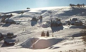 In Hofsgrund am Schauinsland warten fünf Skilifte auf dich.