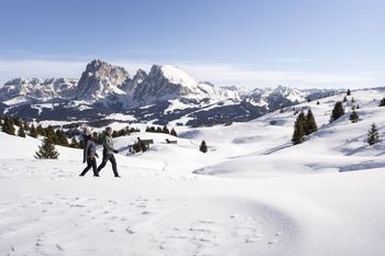 Detaillierte Infos zum Skiurlaub im Skigebiet Seiser Alm