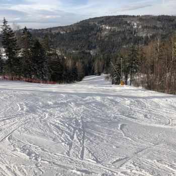 Blick vom Liftausstieg mit herrlichem Blick in den Oberpfälzer Wald