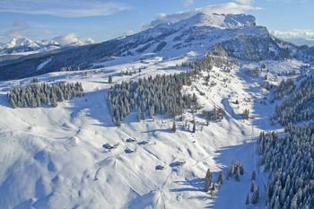 Sonniges Wintervergnügen für die ganze Familie auf der Steinplatte!