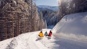 Rodelbahn am Zwölferkopf in Pertisau