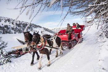 Bei einer Kutschfahrt lässt sich die Winterlandschaft bequem erkunden.