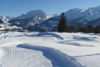 Winterliche Langlaufloipe Oberberg