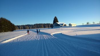 Das Nordische Zentrum Breitenberg-Jägerbild liegt im südlichen Bayerischen Wald.