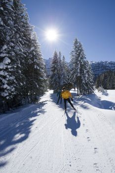 Ein Highlight ist die herrliche Gnadenalm-Loipe.