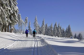 The cross-country skiing tracks in Oberhof comprise up to 50km in length.