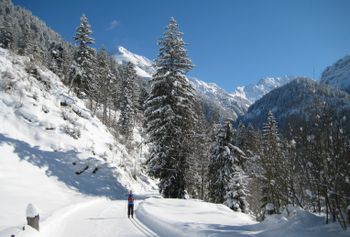 Detaillierte Infos zum Langlauf und den Loipen im Langlaufgebiet Aeschi