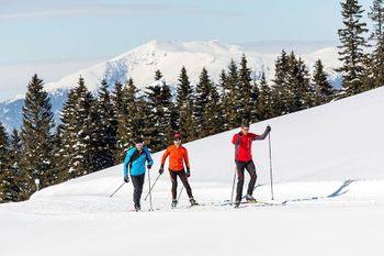 Entdecke die verschneite Winterlandschaft entlang der Welchsel-Panoramaloipe.