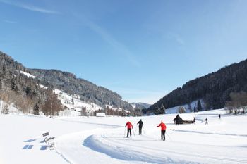 Information on Cross-Country Skiing at Bad Kleinkirchheim