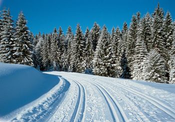 Detaillierte Infos zum Langlauf und den Loipen im Langlaufgebiet Loipenzentrum Bernau