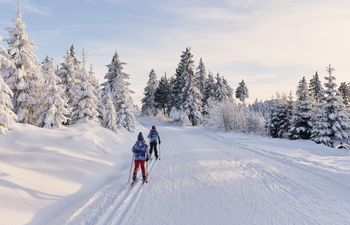 Die Loipen hier im Arberland sind ein Traum für Groß und Klein.
