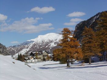 Detaillierte Infos zum Langlauf und den Loipen im Langlaufgebiet Claviere
