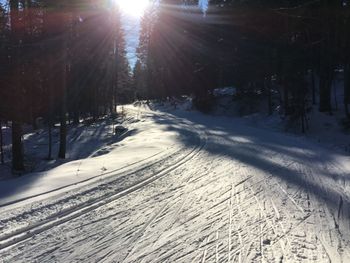 Information on Cross-Country Skiing at Cross Country Center Grainet - Obergrainet - Haidel