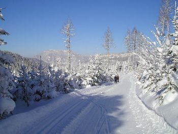 Information on Cross-Country Skiing at Cross Country Center Hochreit