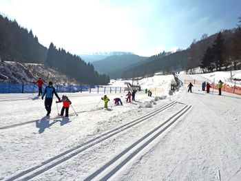 Information on Cross-Country Skiing at Cross Country Center Westfeld Ohlenbach