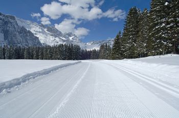 Ideale Langlaufbedingungen