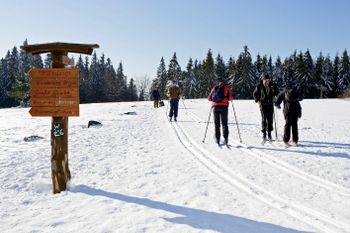 Die Hochheideloipe am Ettelsberg verbindet die Langlaufgebiete Niedersfeld und Willingen.