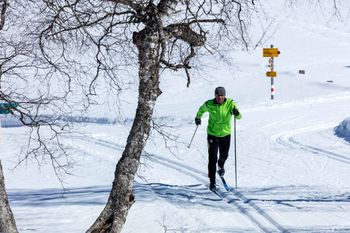 In Feldis gibt es zwei Loipen.