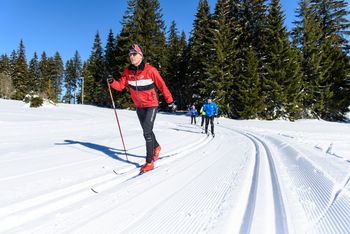Detaillierte Infos zum Langlauf und den Loipen im Langlaufgebiet Ferienland Schwarzwald