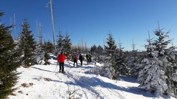 Information on Cross-Country Skiing at Haidmühle-Bischofsreut-Frauenberg