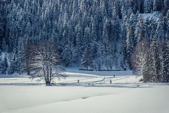 Die meisten Loipen sind sowohl zum klassischen Langlaufen als auch zum Skating geeignet.
