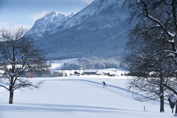 Beim Langlaufen kann man die winterliche Natur in vollen Zügen genießen.