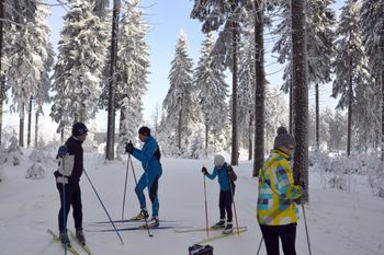 Teilweise führen die Loipen in Klingenthal auch durch den Wald.