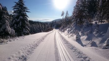 Langlaufen auf der Hohenzollernloipe im Sonnenschein mit großartigen Ausblicken